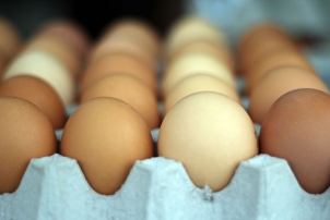 Free-range Eggs