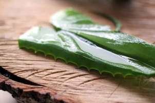 Aloe Vera Gel, Renee Naturally