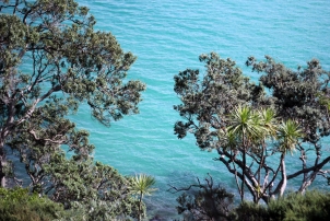 Summer, Renee Naturally