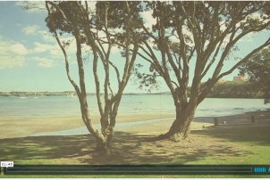 Renee's Eco Baby Shower Video, Renee Naturally