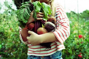 Celebrity Nutrition Trends, Renee Naturally