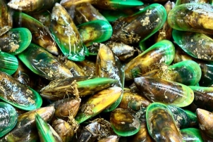 Green-Lipped Mussel Extract Benefits // by Naturopath Renee Naturally