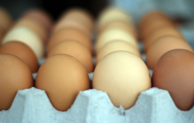 Free-range Eggs