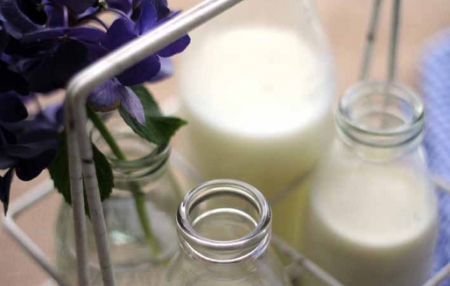 Dairy Milk