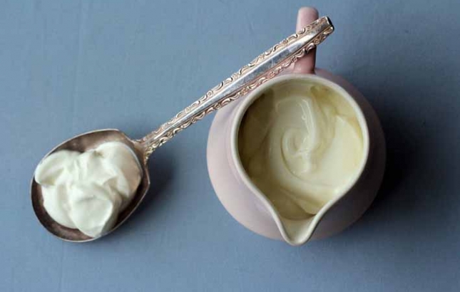 Yoghurt, Renee Naturally