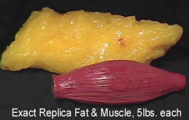 Muscle vs. fat weight, Renee Naturally