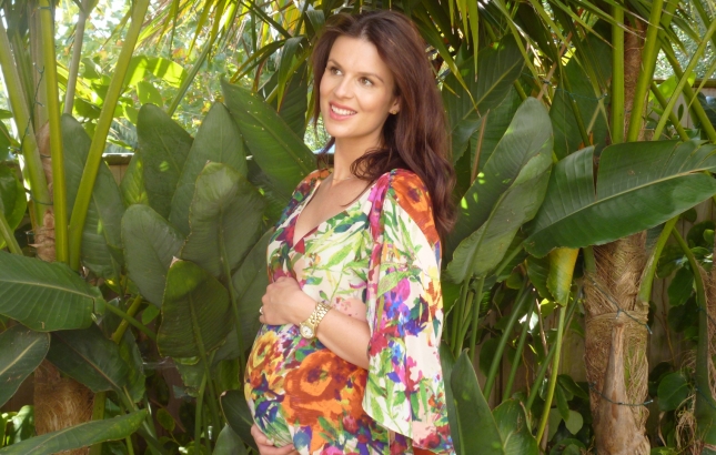My Holistic Pregnancy, Renée Naturally