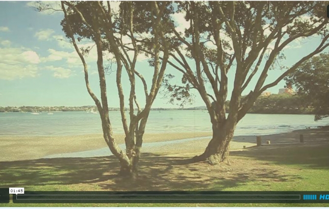 Renee's Eco Baby Shower Video, Renee Naturally