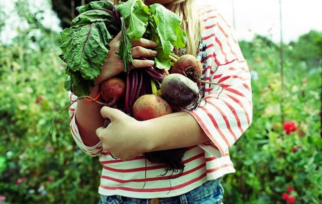 Celebrity Nutrition Trends, Renee Naturally