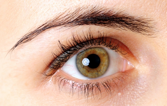 Iridology, Renee Naturally