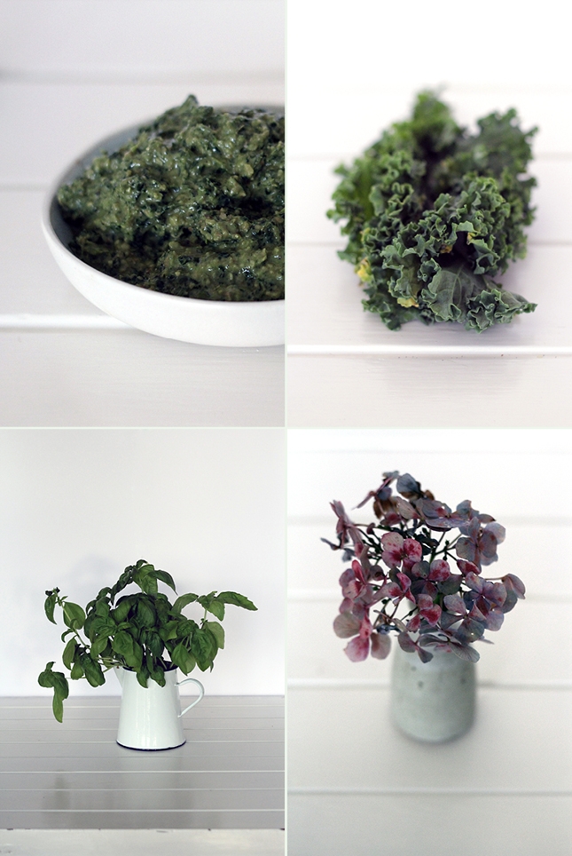 Kale & Walnut Pesto, Renee Naturally