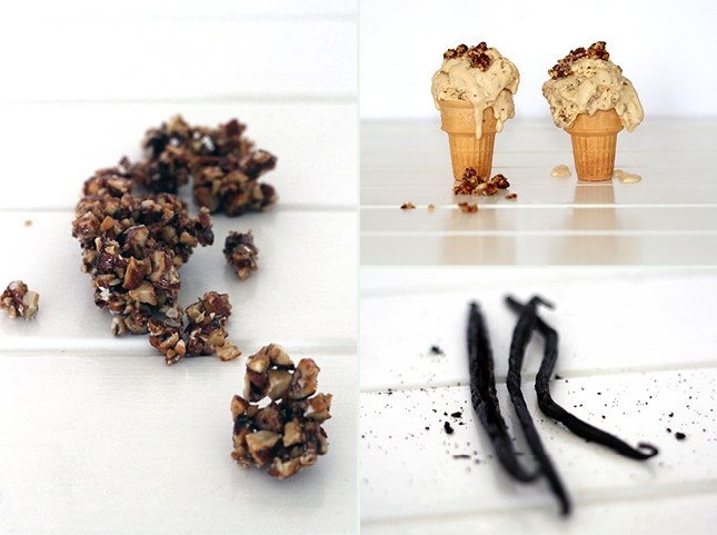 Coconut, Vanilla Bean & Honey Ice Cream, Renee Naturally