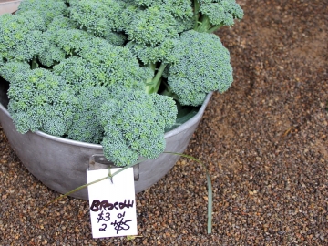 Organic Broccoli Organic Broccoli
