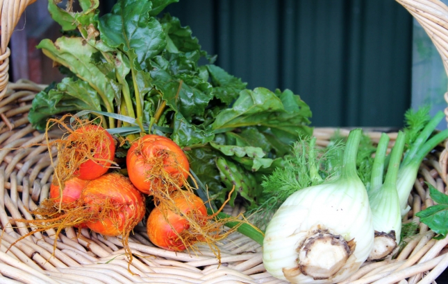 Organic Produce