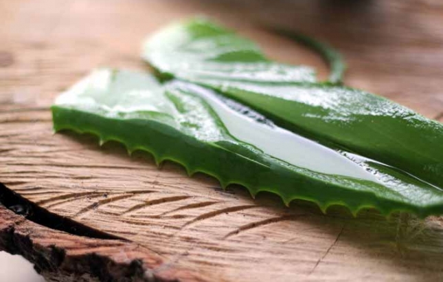 Aloe Vera Gel, Renee Naturally Aloe Vera Gel, Renee Naturally