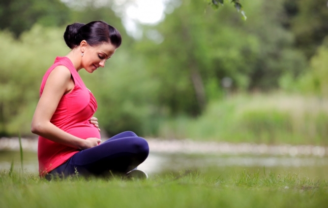 Pregnant lady Pregnant lady